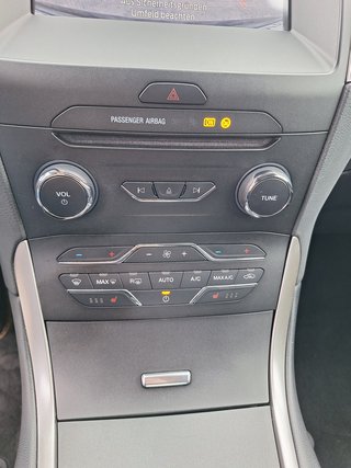 Ford S-MAX 2.0 Aut AHK abn Navi DAB Rückf-Kamera PPDS v+h Sitzheizung - bilder 18