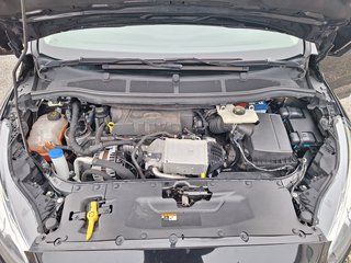 Ford S-MAX 2.0 Aut AHK abn Navi DAB Rückf-Kamera PPDS v+h Sitzheizung - bilder 10