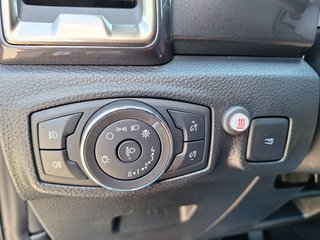 Ford Ranger Wildtrak DoKa 4x4 SHZ AHK ACC eRollo Navi DAB - bilder 18