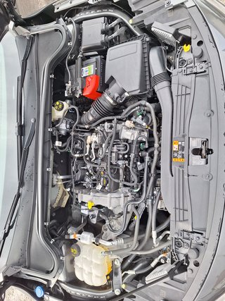 Ford Focus Turnier 1.0 ST-Line X Aut. Matrix-LED AHK Pano Winter Navi DAB - foto 10