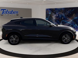 Ford Mustang Mach-E Gebrauchtwagen Kaufen
