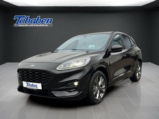 Ford Kuga Gebrauchtwagen Kaufen