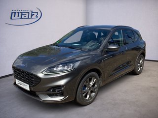 Ford Kuga Gebrauchtwagen Kaufen