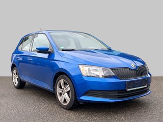 Skoda Fabia Gebrauchtwagen Kaufen