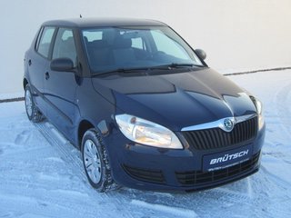 Skoda Fabia Gebrauchtwagen Kaufen