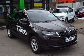 Skoda Karoq Vorführfahrzeug Kaufen