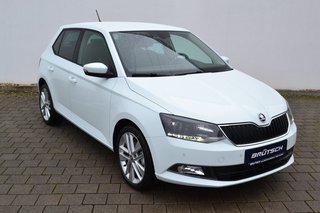 Skoda Fabia Gebrauchtwagen Kaufen