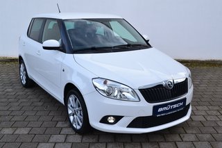 Skoda Fabia Gebrauchtwagen Kaufen
