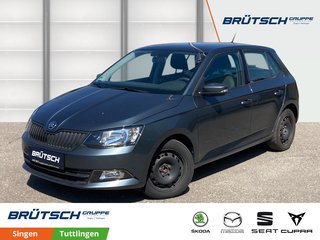 Skoda Fabia Gebrauchtwagen Kaufen