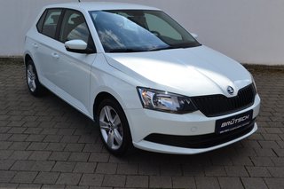 Skoda Fabia Gebrauchtwagen Kaufen