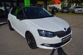 Skoda Fabia Gebrauchtwagen Kaufen