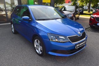 Skoda Fabia Gebrauchtwagen Kaufen