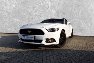 Ford Mustang Gebrauchtwagen Kaufen