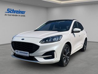 Ford Kuga Gebrauchtwagen Kaufen