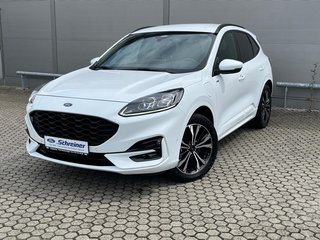 Ford Kuga Gebrauchtwagen Kaufen