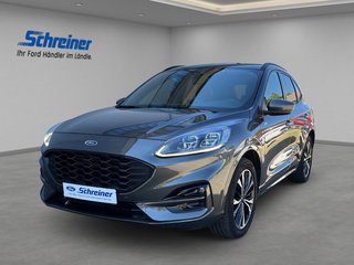 Ford Kuga Gebrauchtwagen Kaufen