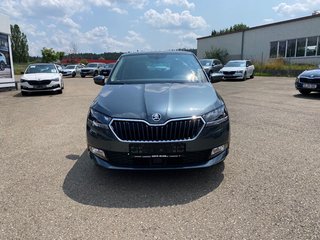 Skoda Fabia Gebrauchtwagen Kaufen