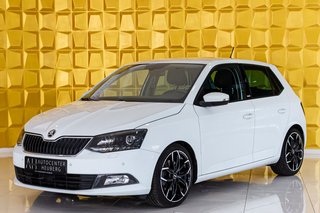 Skoda Fabia Gebrauchtwagen Kaufen