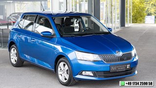 Skoda Fabia Gebrauchtwagen Kaufen