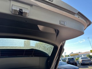 CUPRA Terramar 4Drive VZ AHK LED PANO 360° DSG 195 kW - bilder 22