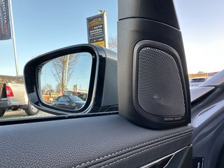 BMW 730 d xDrive M Sport Head-up-Display/Harman-Kardon / Laserlicht - bilder 18