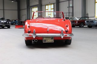 1959 Austin Healey 3000 BT7 2+2 außergewöhnlicher Zustand - photo 4