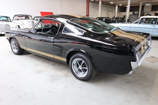 1965 Ford Fastback GT350 V8 Hertz Clone - bilder 1