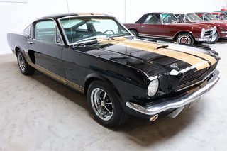 1965 Ford Fastback GT350 V8 Hertz Clone - bilder 32