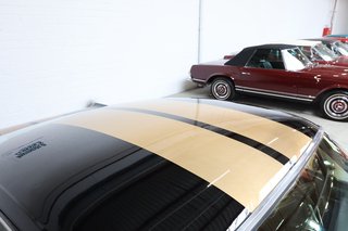 1965 Ford Fastback GT350 V8 Hertz Clone - bilder 60
