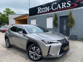 Lexus UX Jahreswagen Kaufen