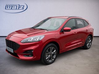 Ford Kuga Gebrauchtwagen Kaufen