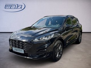 Ford Kuga Gebrauchtwagen Kaufen