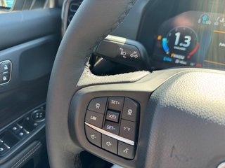 Ford Ranger Limited PHEV +AHK +elektr. Rollo +B&O - foto 6