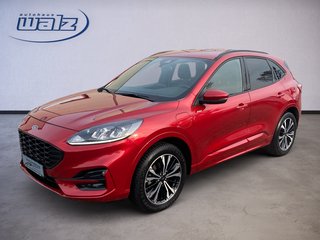 Ford Kuga Gebrauchtwagen Kaufen