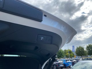 Ford Puma Gen-E +WINTERPAKET+KOMFORTPAKET+ - foto 4
