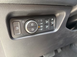 Ford Ranger Plug-in-Hybrid XLT e-4WD Doppelkabine - bilder 4