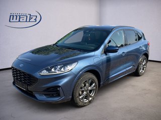 Ford Kuga Gebrauchtwagen Kaufen