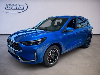 Ford Kuga Neuwagen Kaufen
