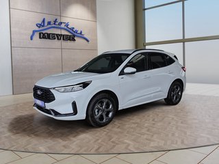 Ford Kuga age.one-day registration Kaufen