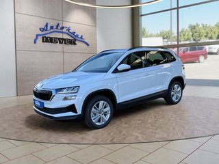 Skoda Karoq age.one-day registration Kaufen
