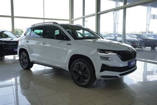 Skoda Karoq age.one-day registration Kaufen
