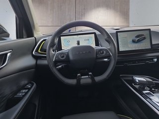 BAIC Baic Beijing X55 Luxury 19*Alu/Pano/Leder/el.Klappe   ** - bilder 9