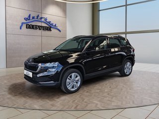 Skoda Karoq age.one-day registration Kaufen