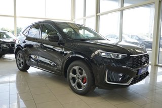 Ford Kuga age.one-day registration Kaufen