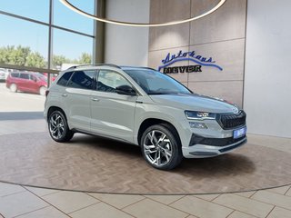 Skoda Karoq age.one-day registration Kaufen