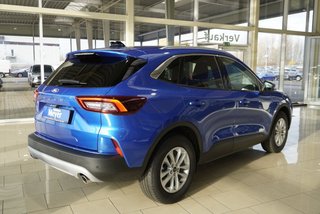 Ford Kuga 1,5 186PS Aut.Kamera/LED/Navi/Winterp.    ** - bilder 5