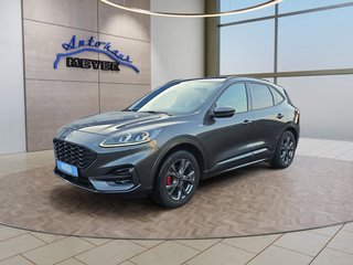 Ford Kuga Gebrauchtwagen Kaufen