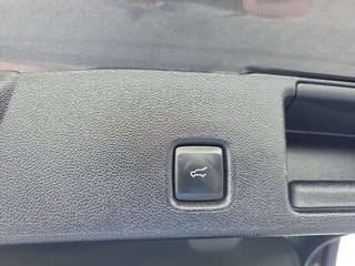 Ford Kuga ST-Line X 2,5 FHEV ACC/LED/Navi/Leder/el.Klappe  ** - foto 14