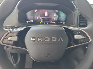 Skoda Karoq 1,5TSI DSG 18*Alu/aAHK/ACC/Kamera/Winterp.       ** - bilder 13