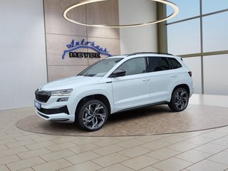 Skoda Karoq age.one-day registration Kaufen